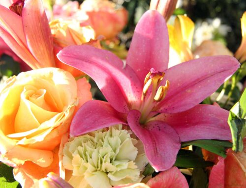 Banho das 7 Flores
